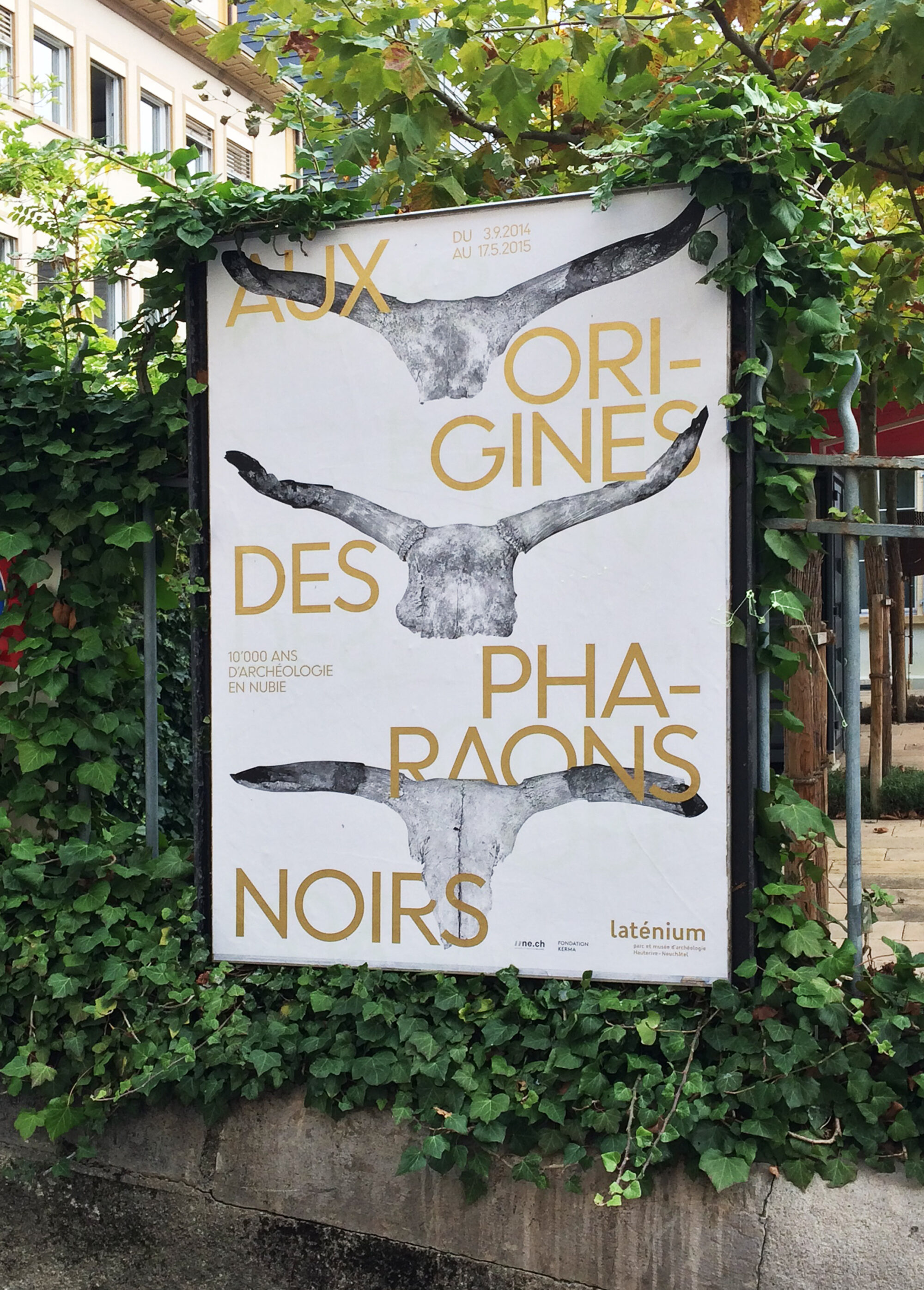 SUPERO_Aux_Origines_des_Pharaons_IMG_8237_01_web