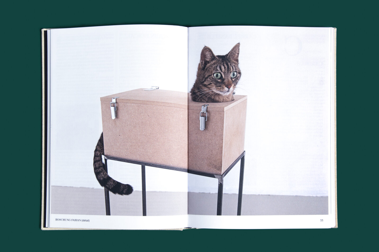 SUPERO_FROM_NE_7983.2