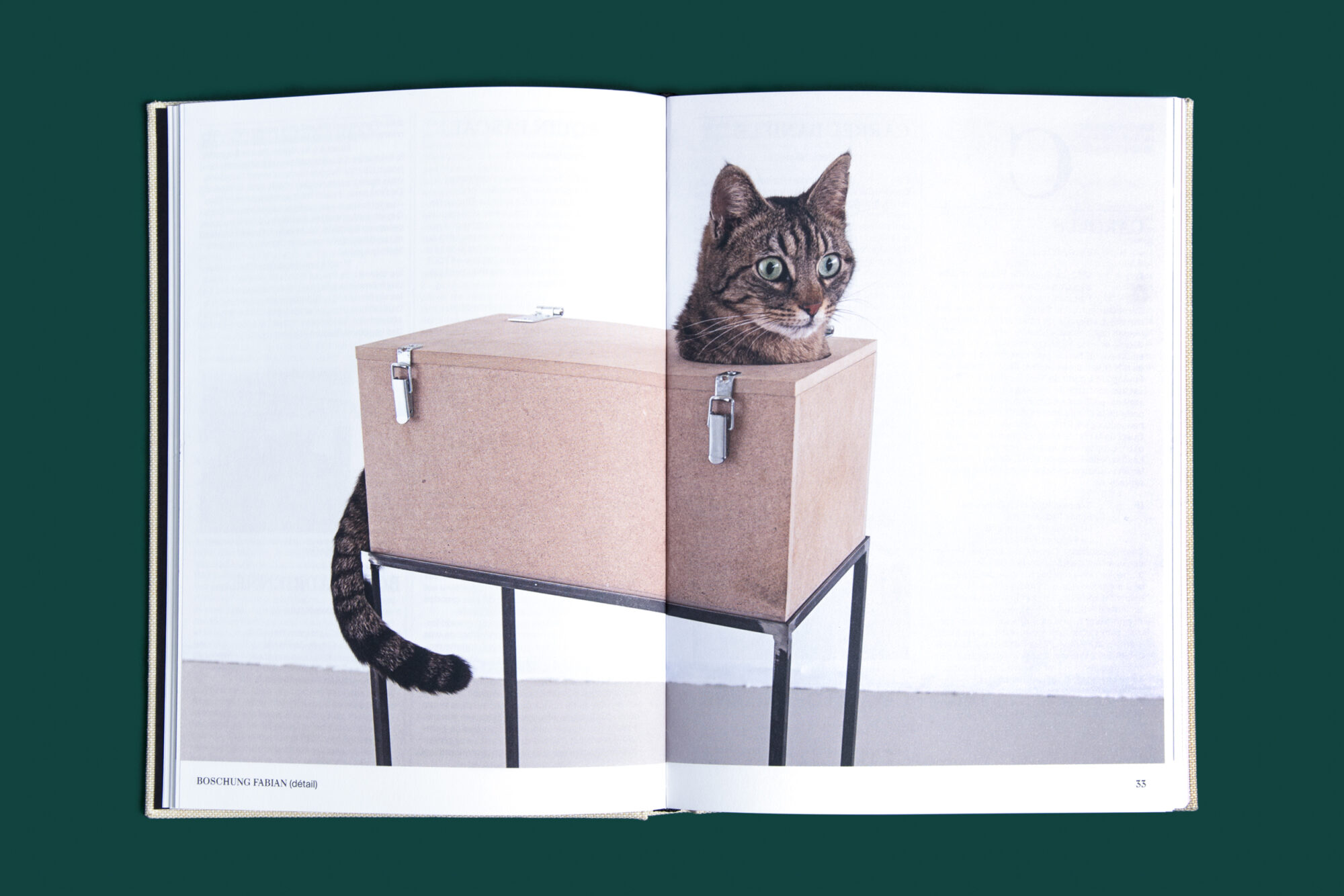 SUPERO_FROM_NE_7983.2