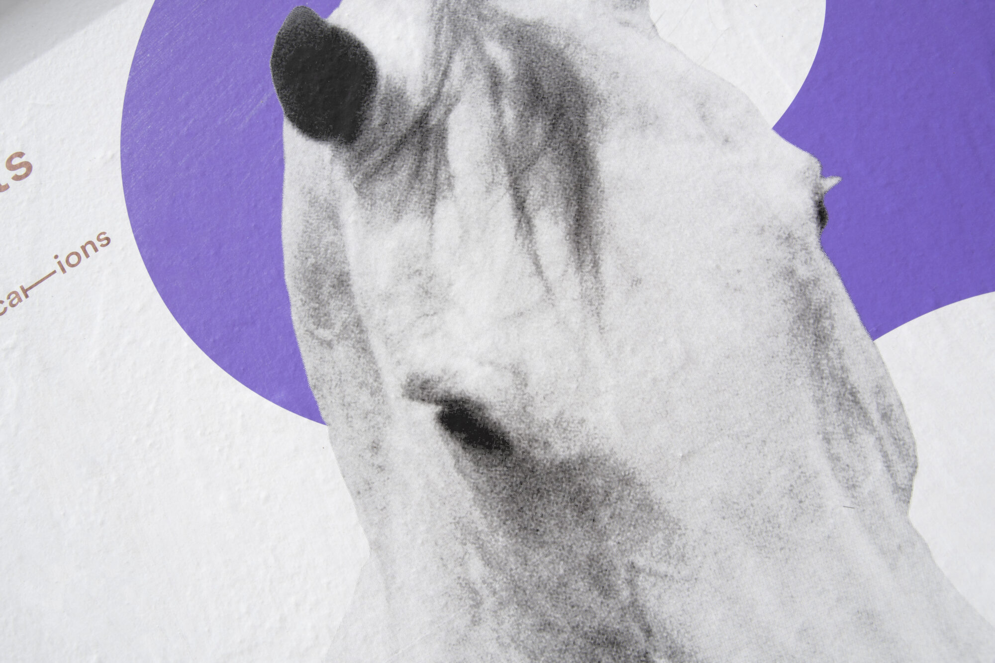 SUPERO_TPR18-19_8089