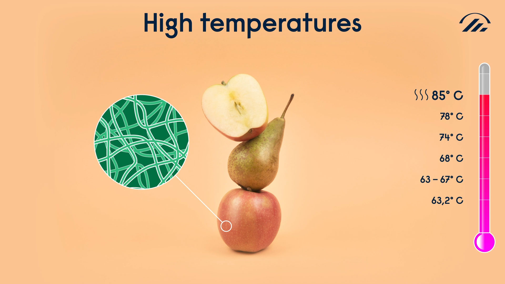 SUPERO_EHL_extraits_04