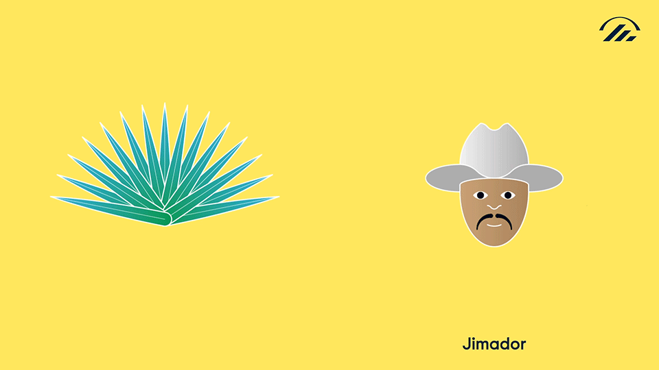 SUPERO_EHL_extraits_06