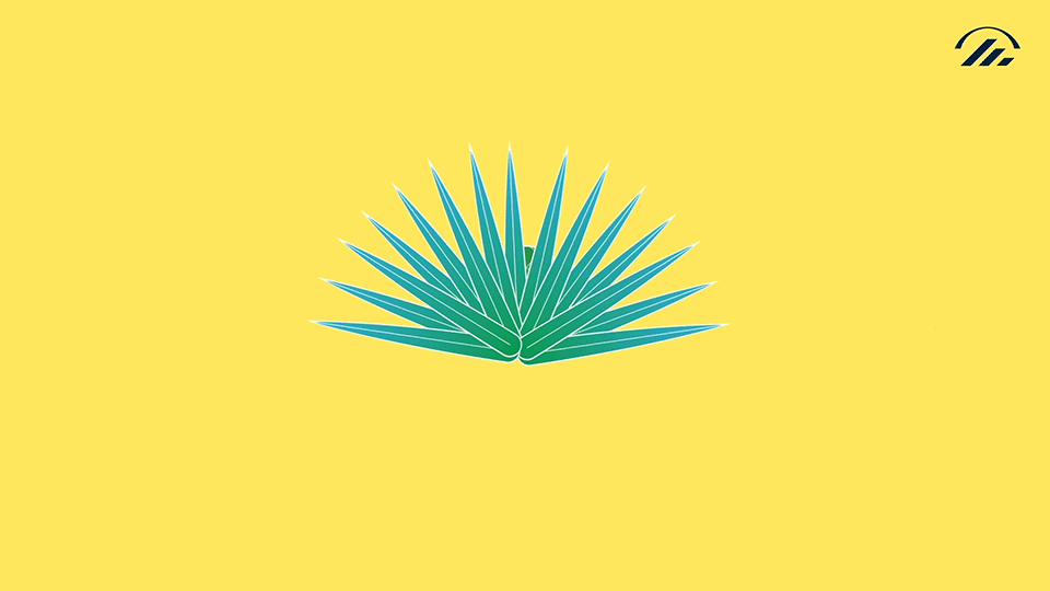 SUPERO_EHL_extraits_09