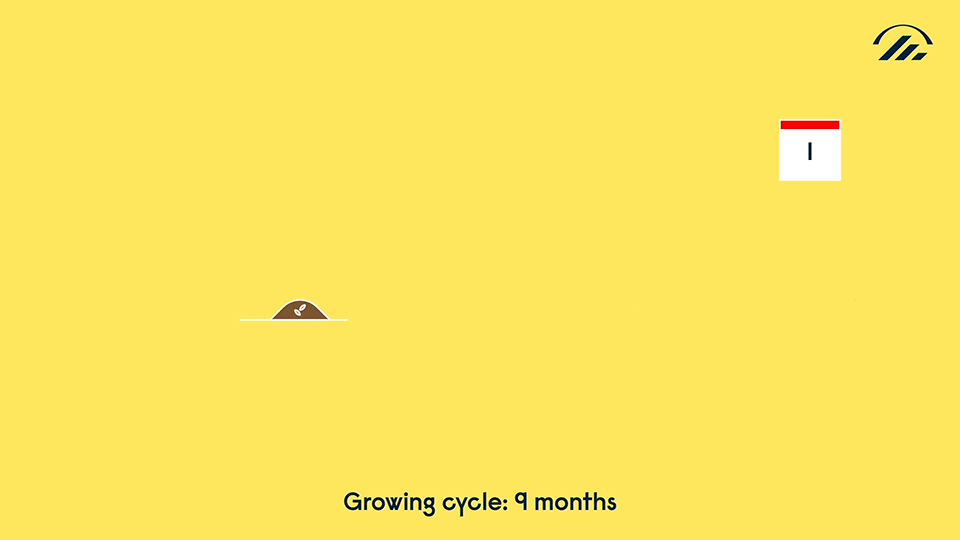 SUPERO_EHL_extraits_26