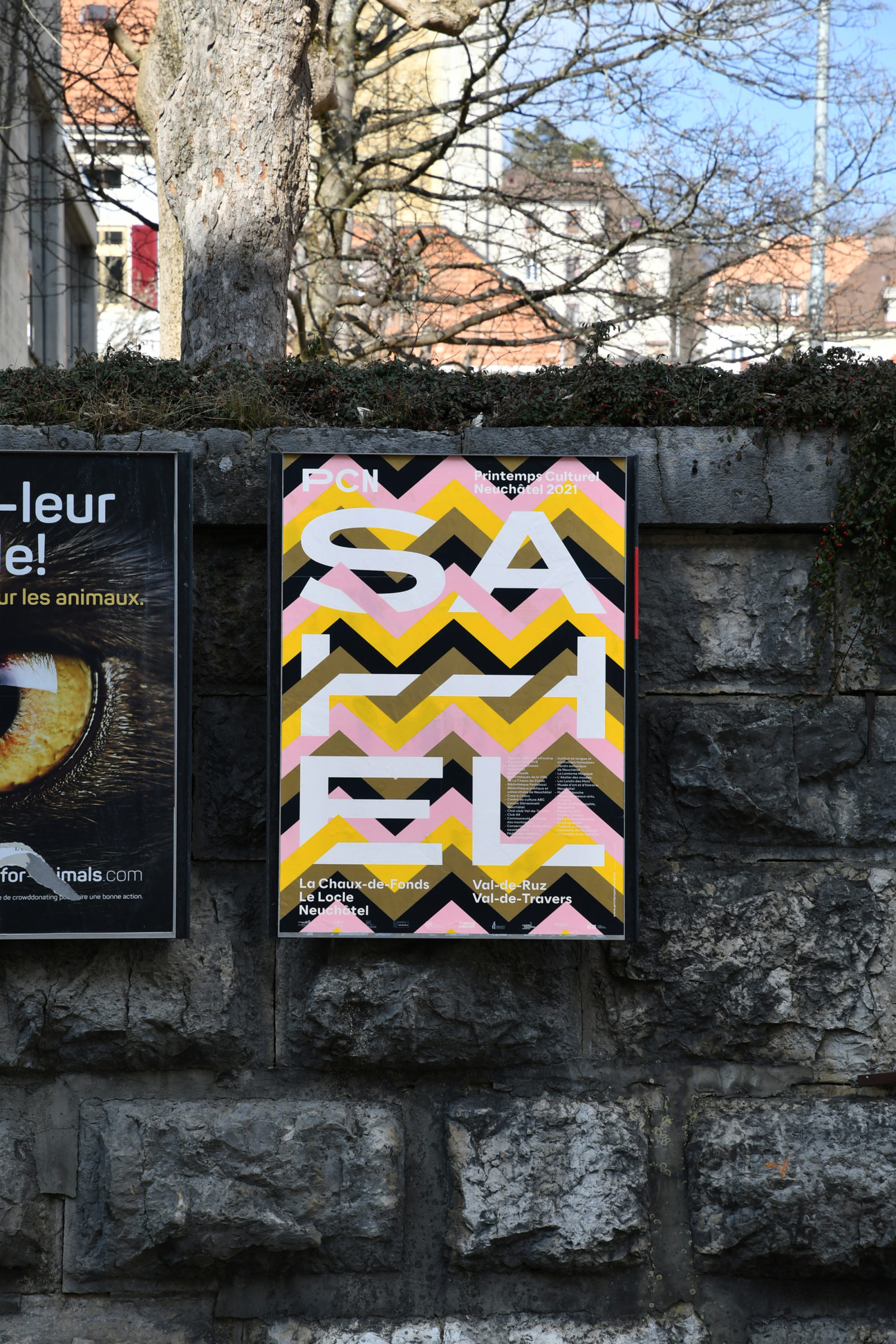 SUPERO_SAHEL_D50_4220