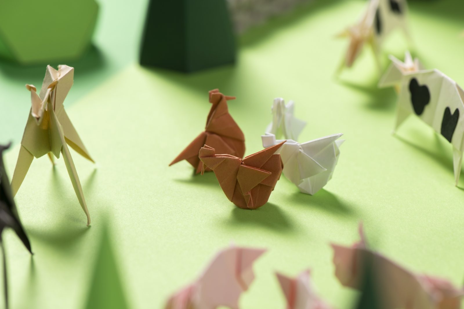 SUPERO_PNRD_DSC0494_3000px