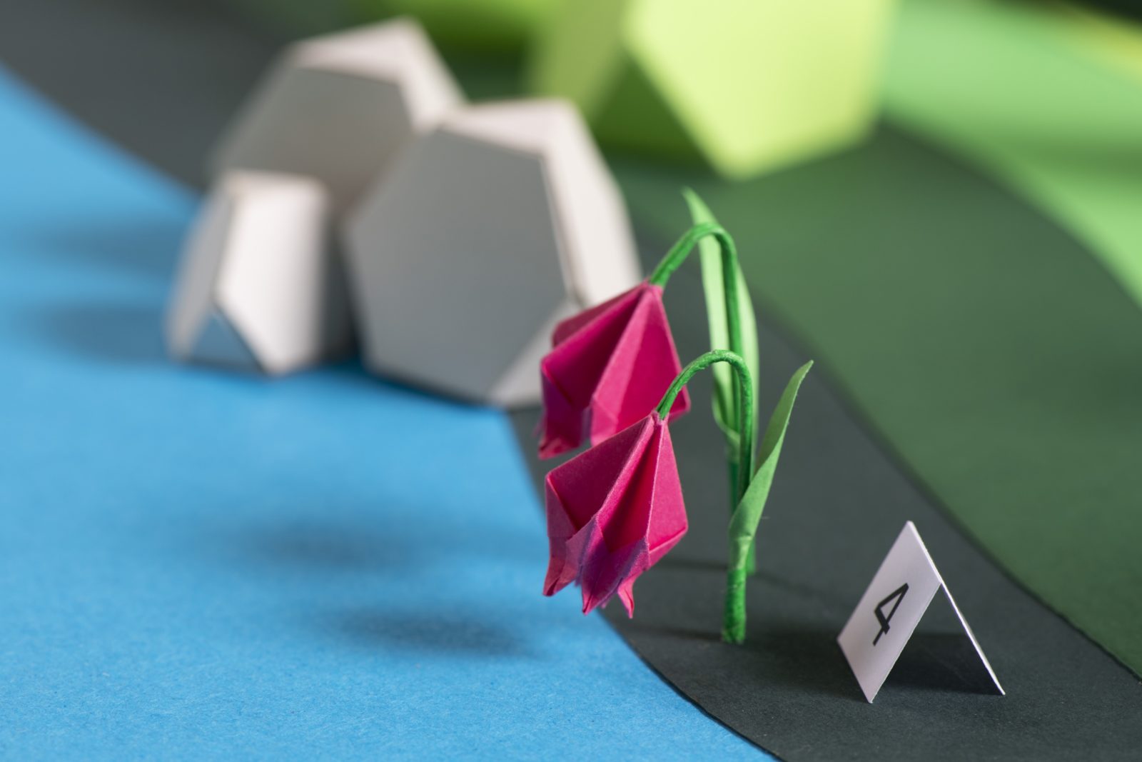 SUPERO_PNRD_DSC0578_3000px