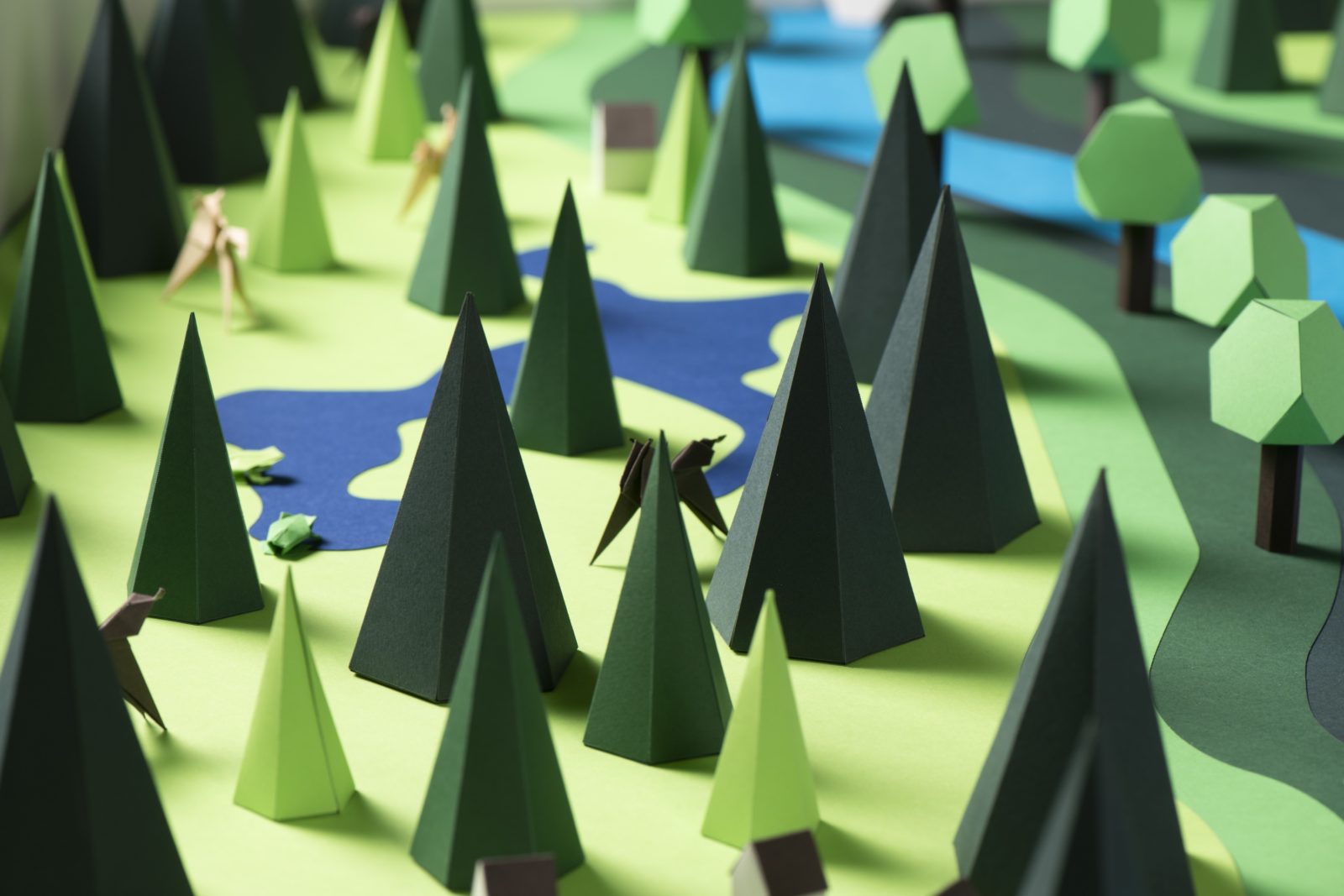 SUPERO_PNRD_DSC0716_3000px