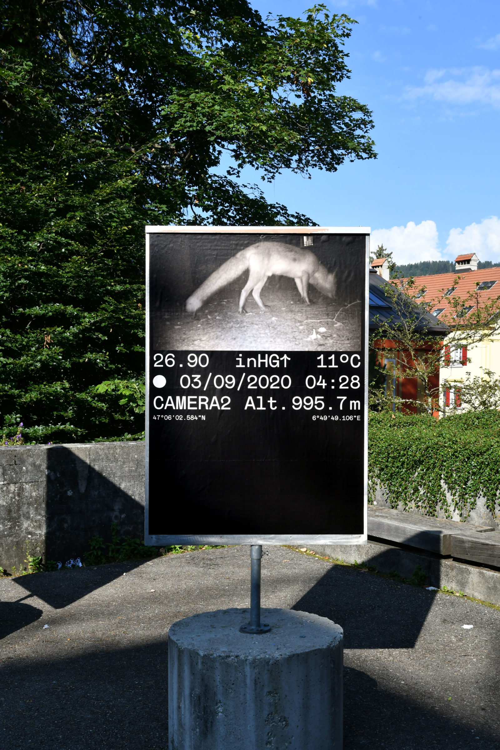 SUPERO_TESC_D50_5769