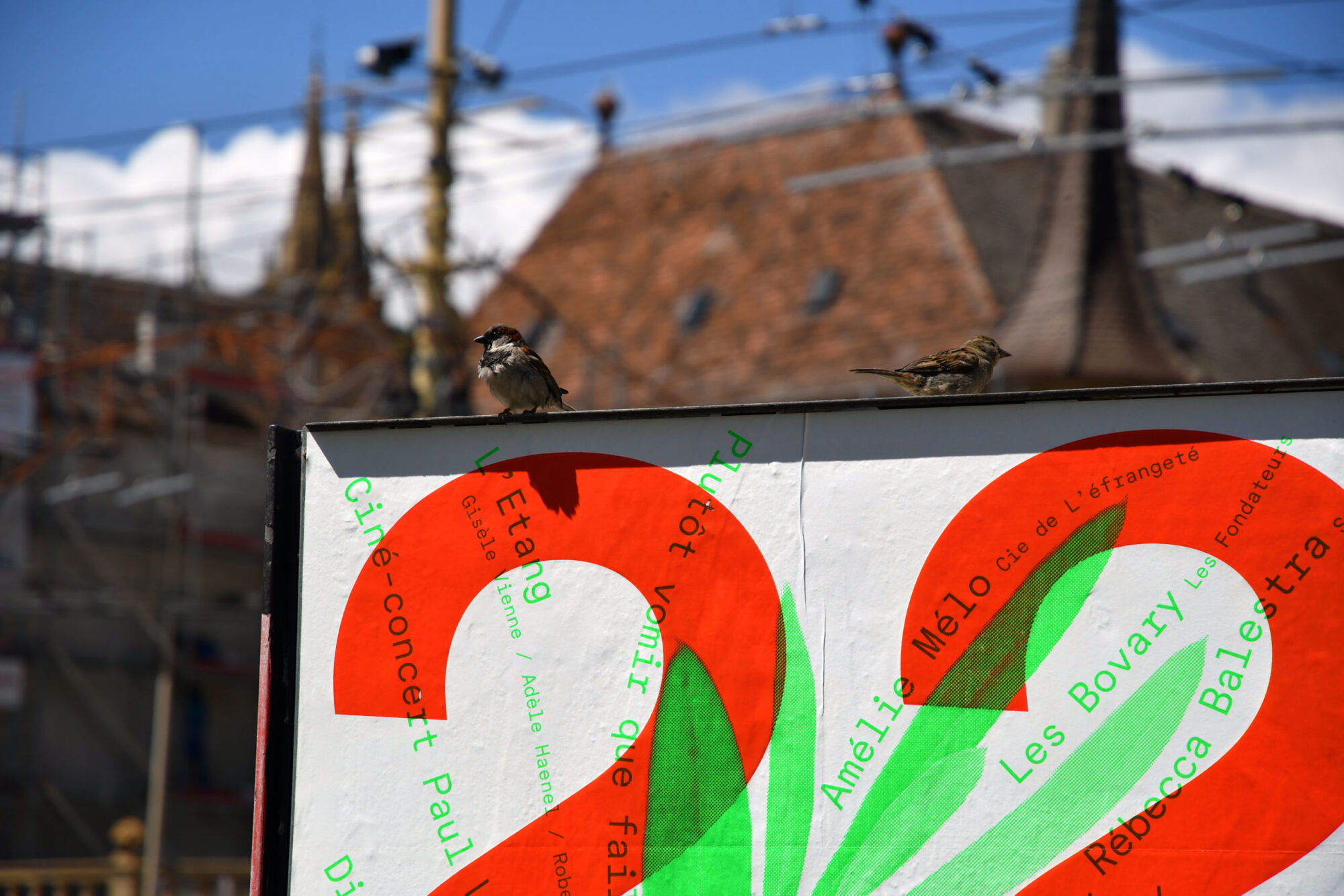 SUPERO_TPR_22_23_D50_6990