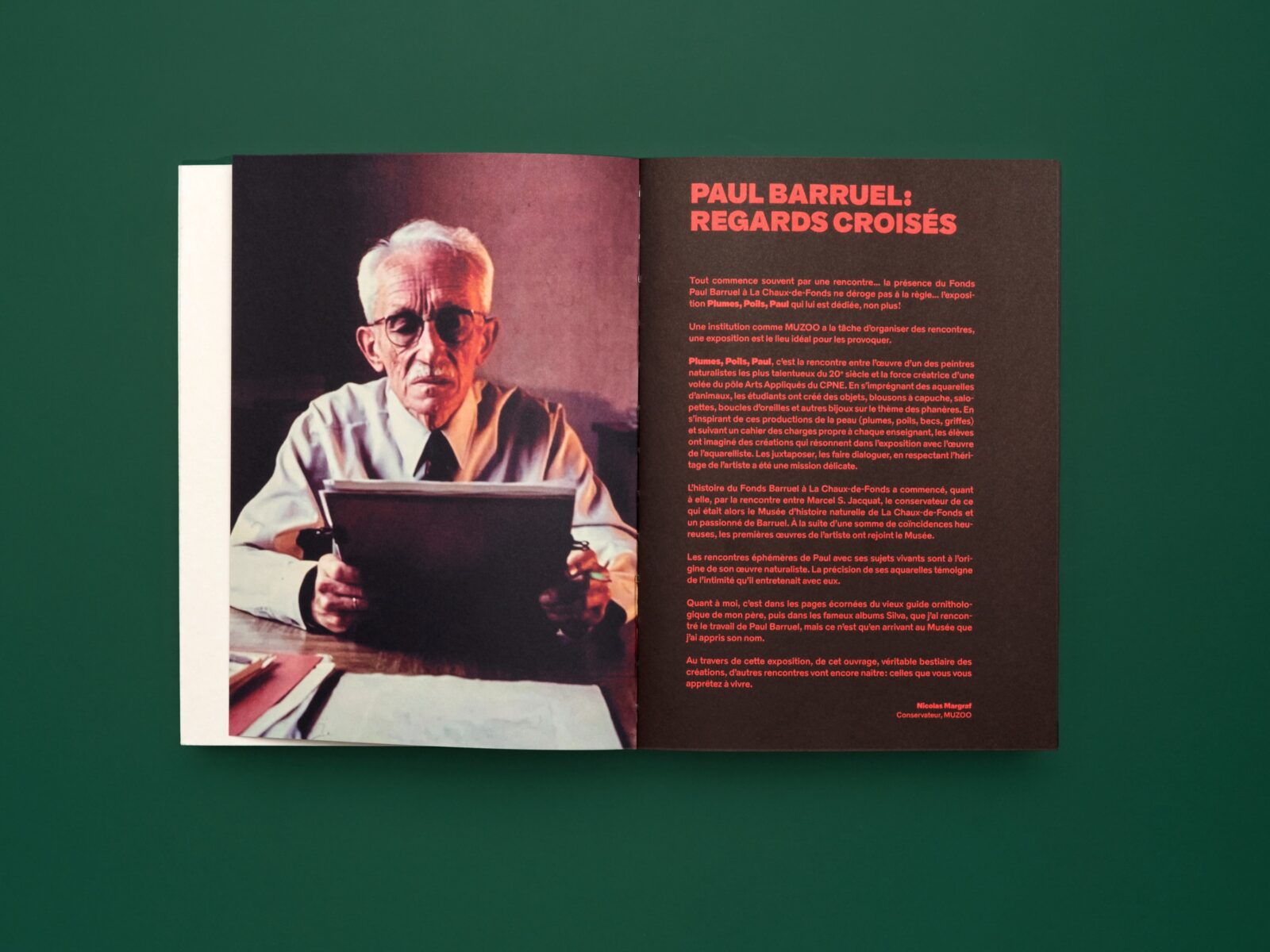 SUPERO_PLUMES-POILS-PAUL 23.tif2_3000px