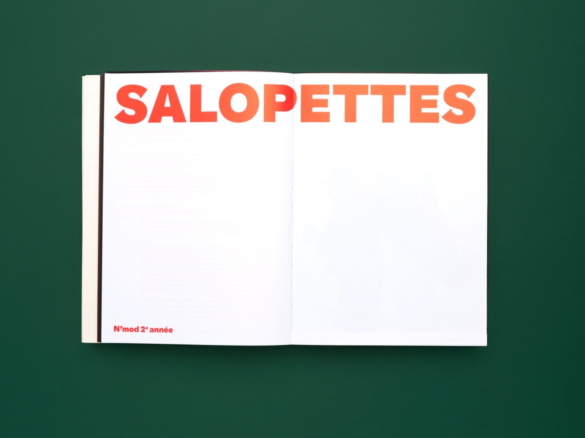 SUPERO_PLUMES-POILS-PAUL 23_1_3000px