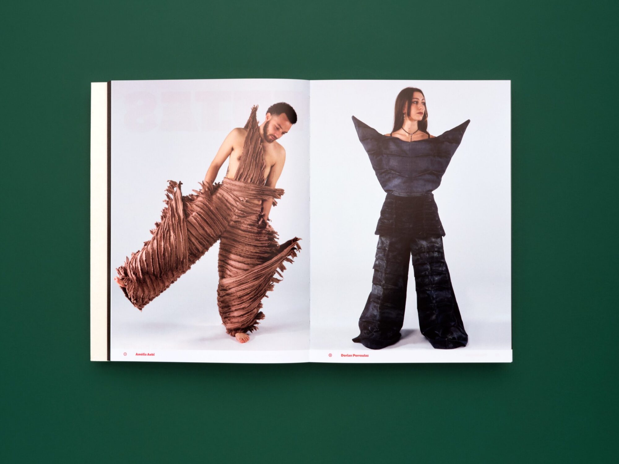 SUPERO_PLUMES-POILS-PAUL 23_3000px