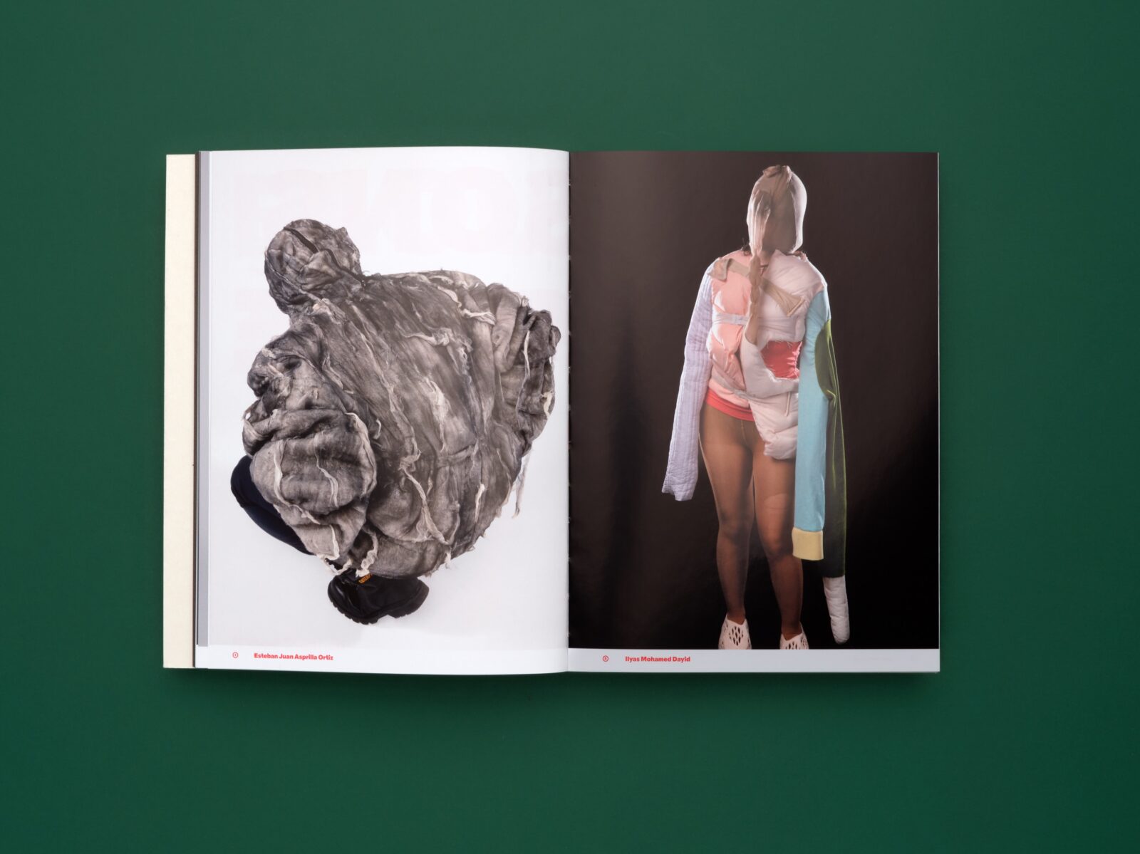 SUPERO_PLUMES-POILS-PAUL 24_3000px