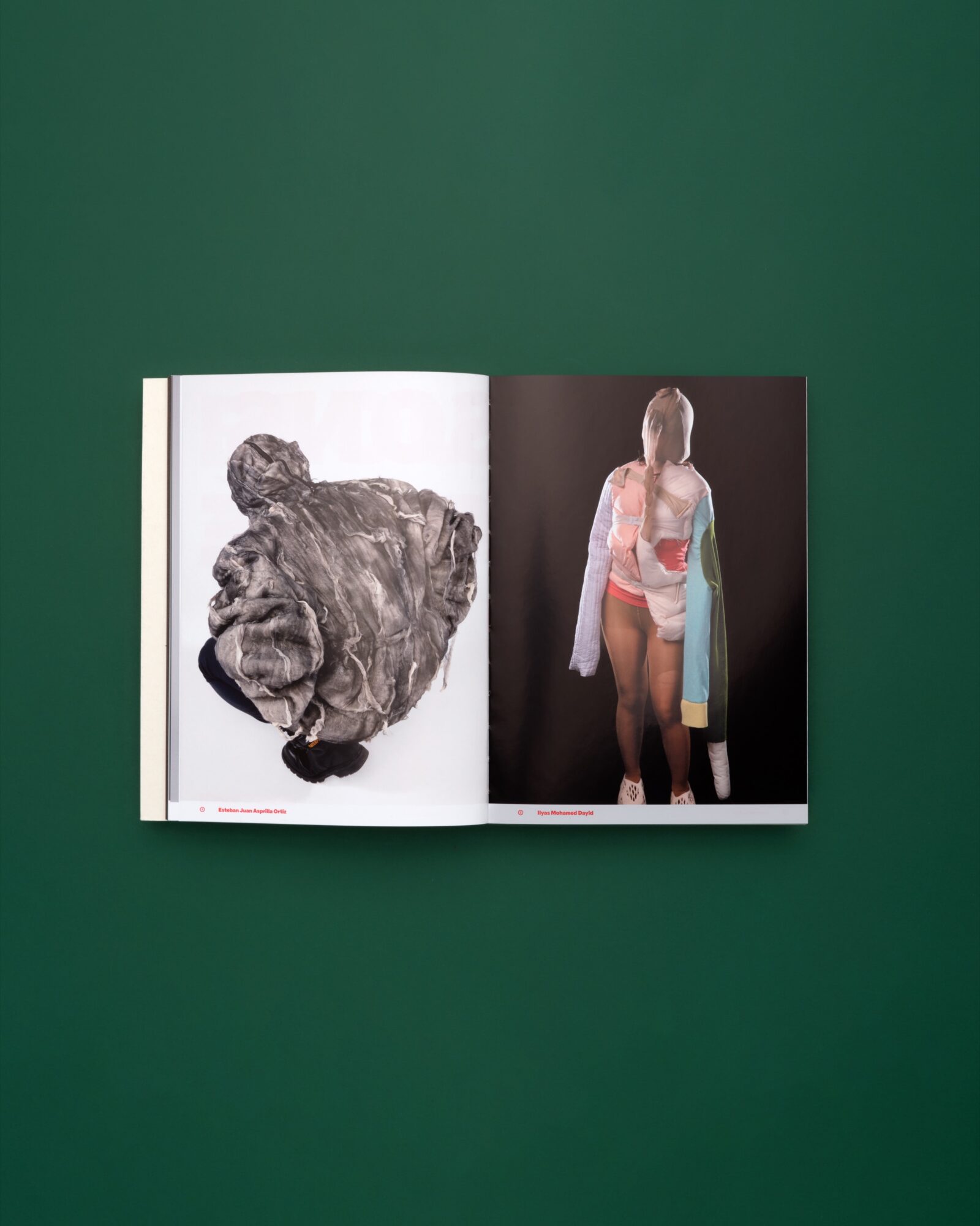 SUPERO_PLUMES-POILS-PAUL 24_hauteur_3000px