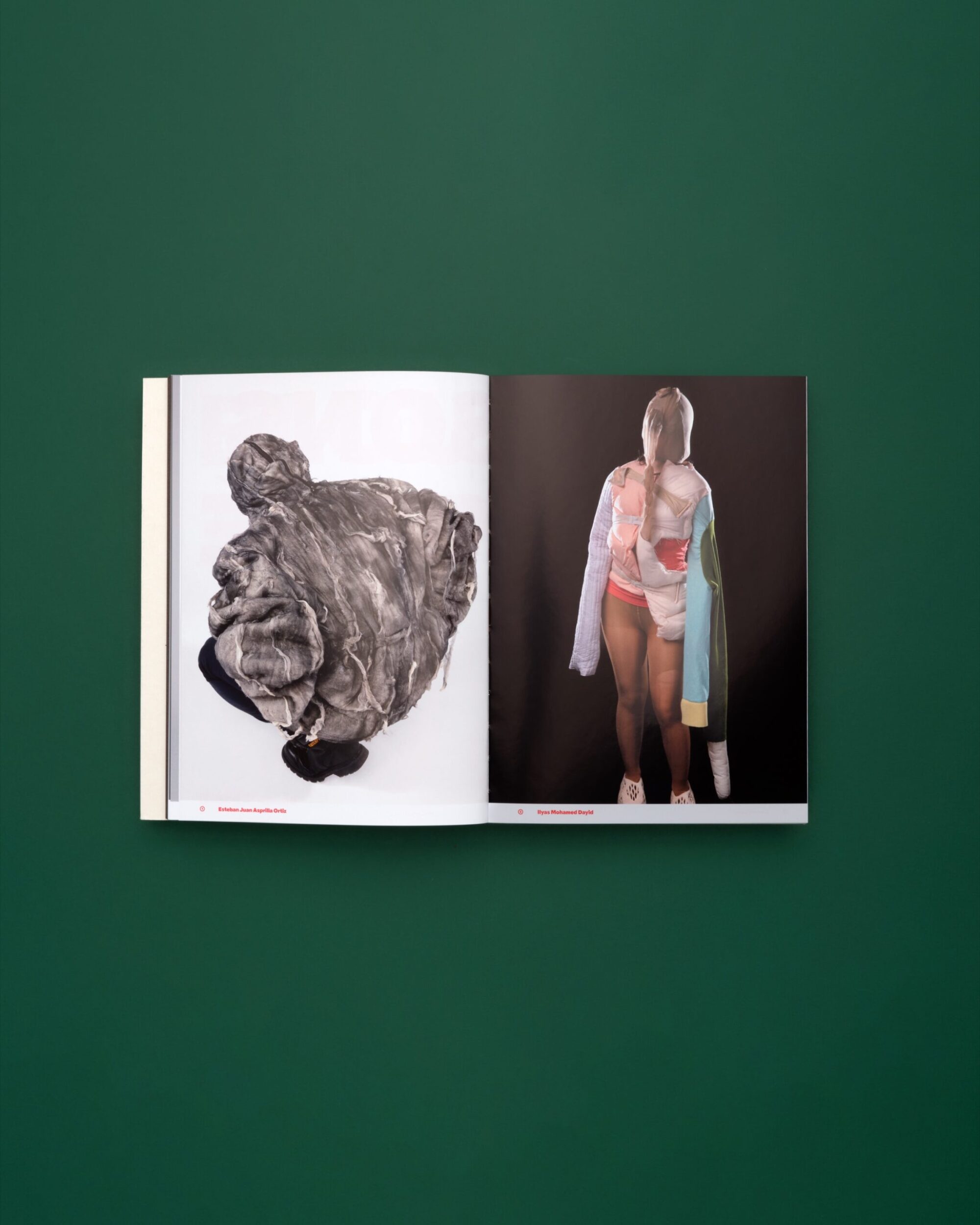 SUPERO_PLUMES-POILS-PAUL 24_hauteur_3000px