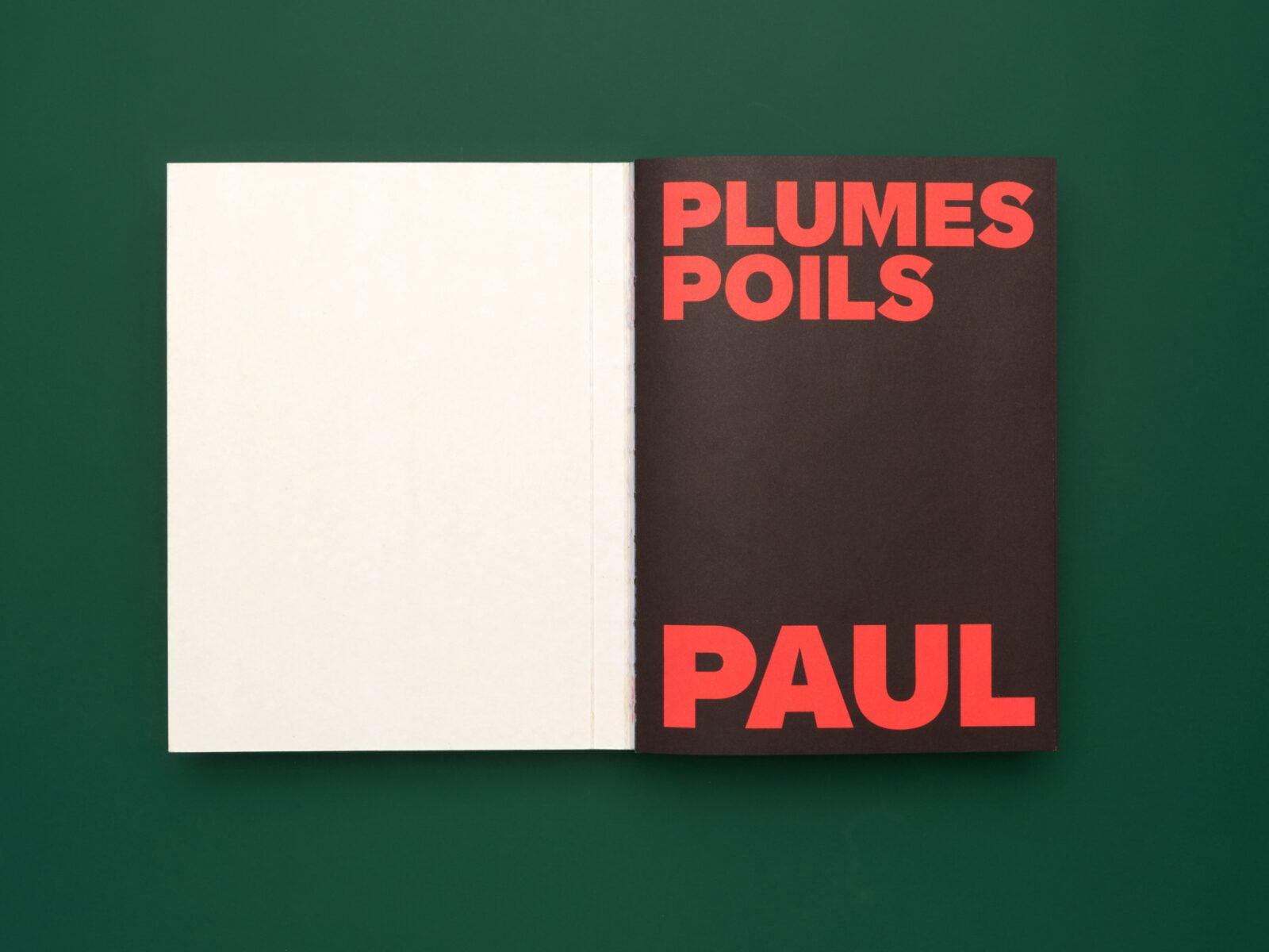 SUPERO_PLUMES-POILS-PAUL 25_3000px