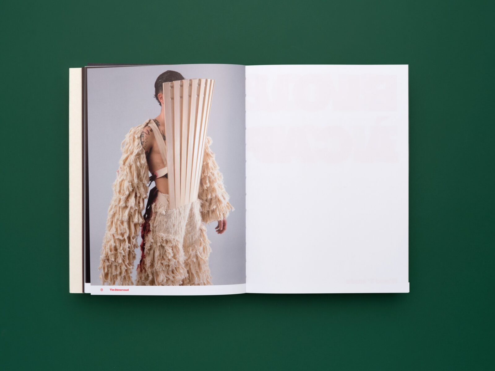 SUPERO_PLUMES-POILS-PAUL 26_3000px