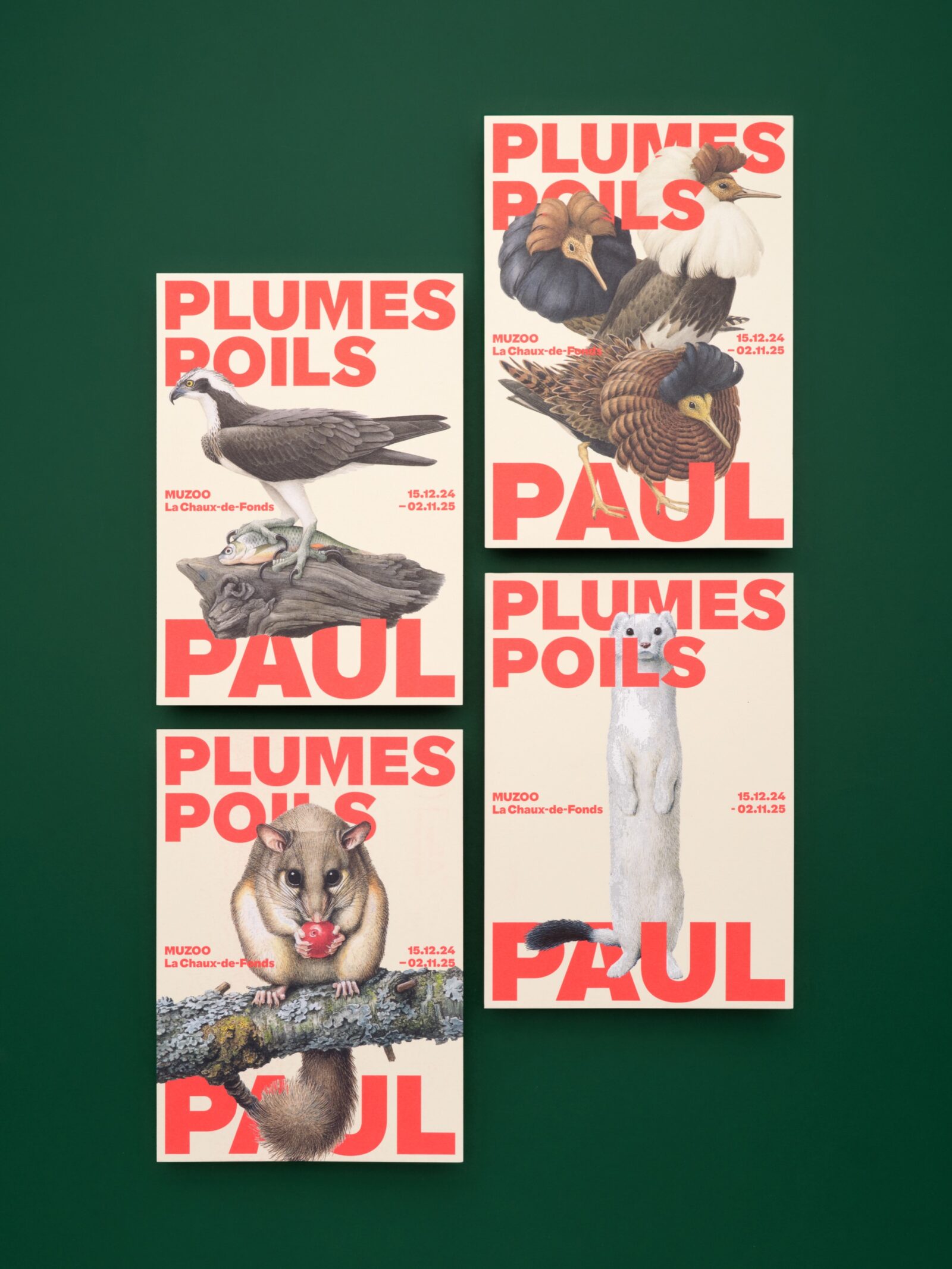 SUPERO_PLUMES-POILS-PAUL_FLYERS_3000px