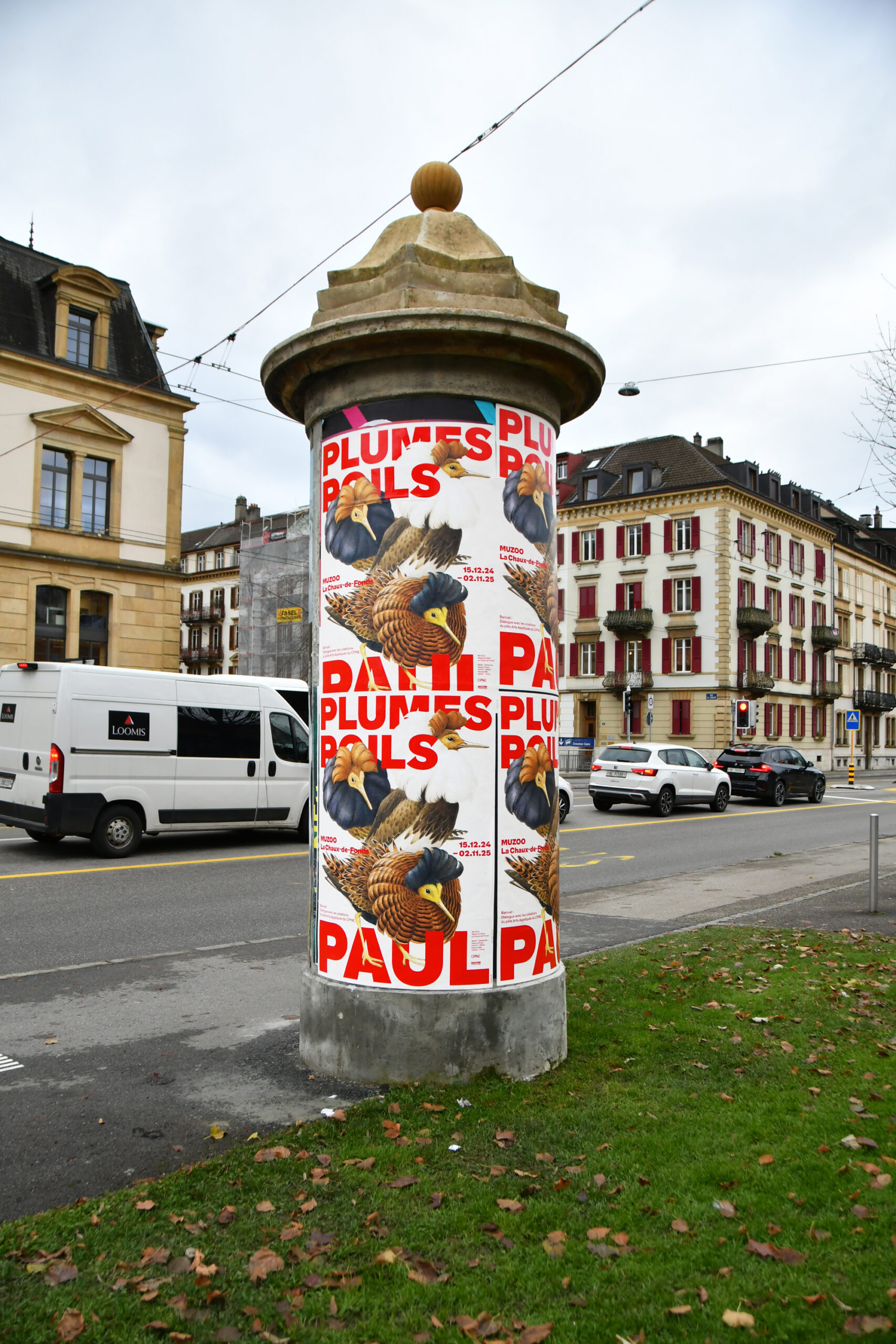 SUPERO_Paul_Barruel_D50_8308_low