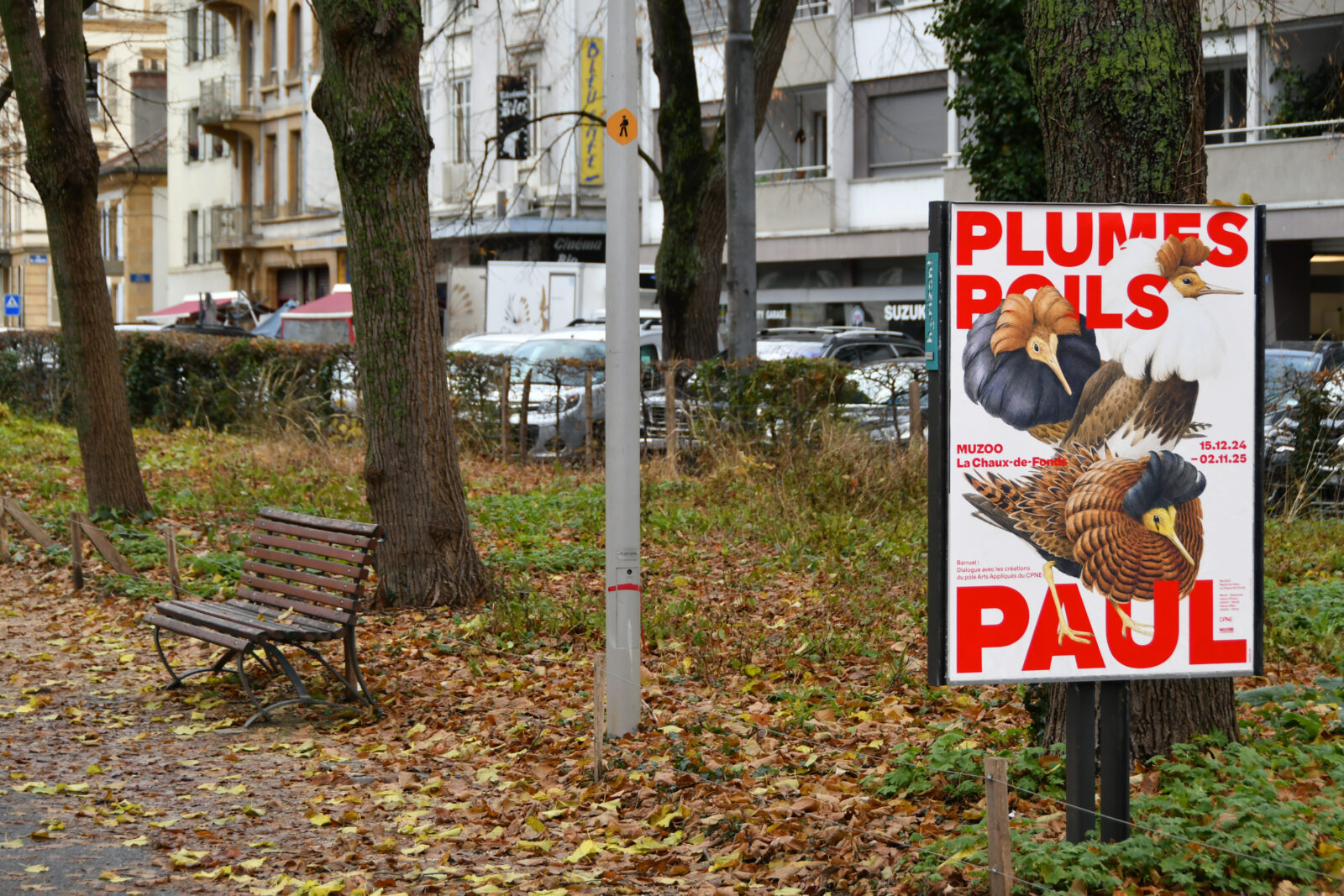 SUPERO_Paul_Barruel_D50_8386_low