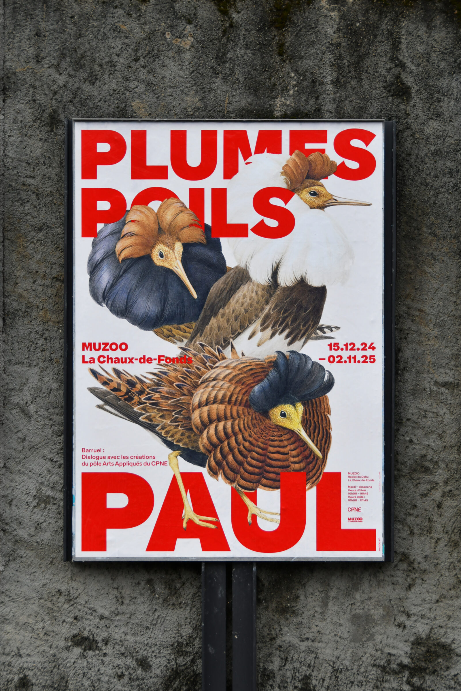 SUPERO_Paul_Barruel_D50_8447_low