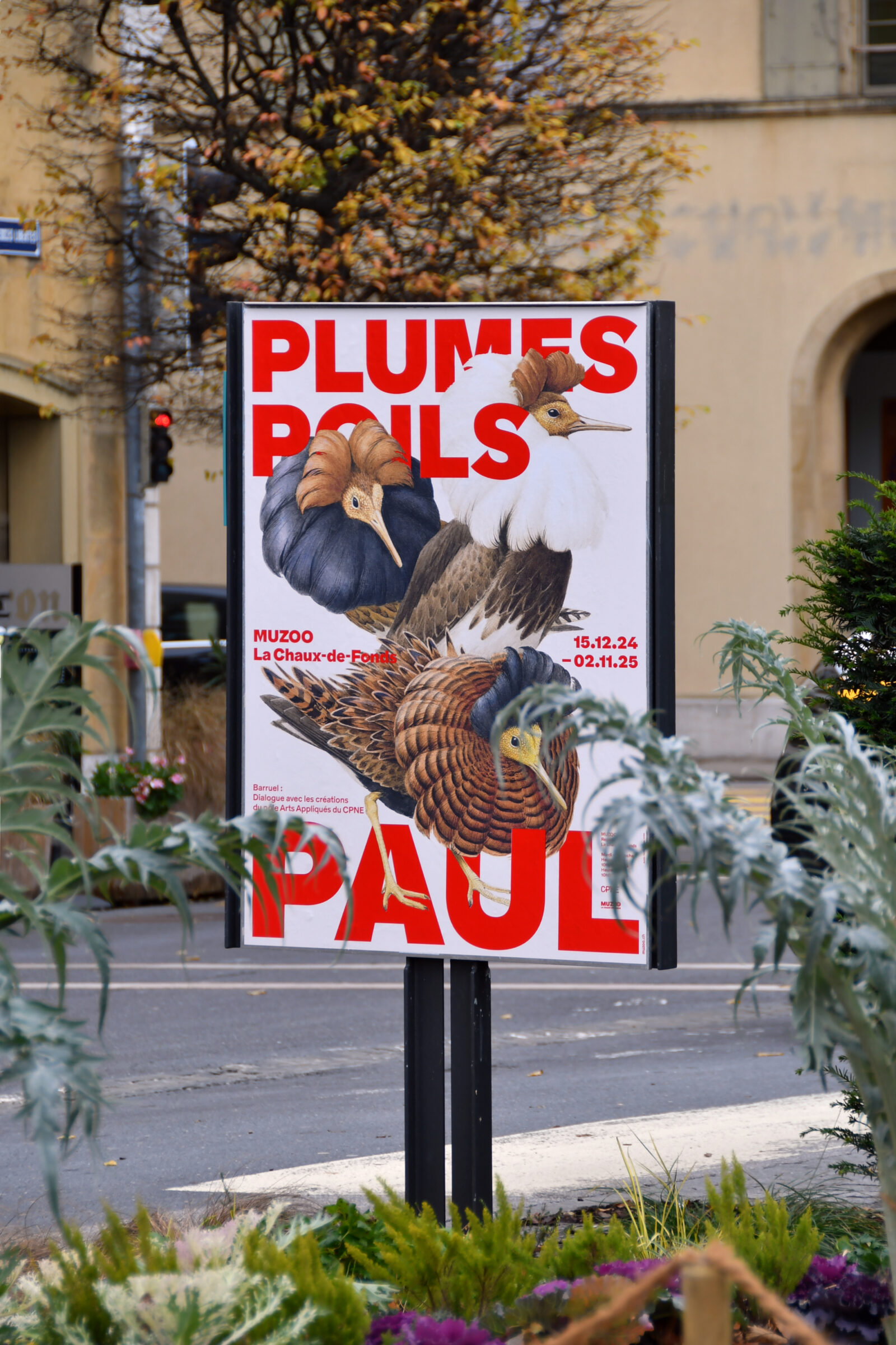 SUPERO_Paul_Barruel_D50_8485_low