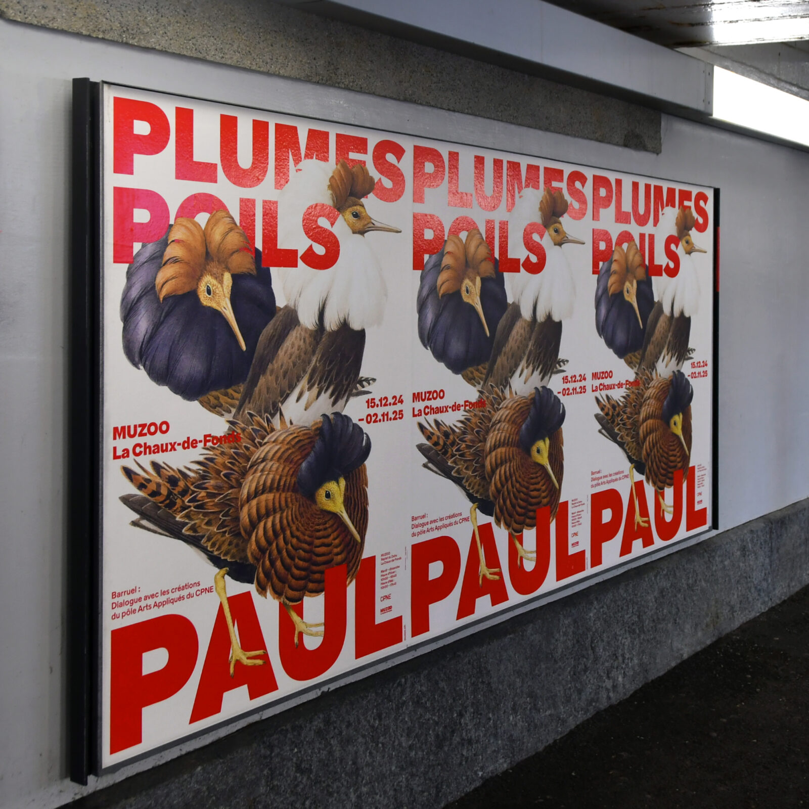 SUPERO_Paul_Barruel_D50_8580_CARRE_low