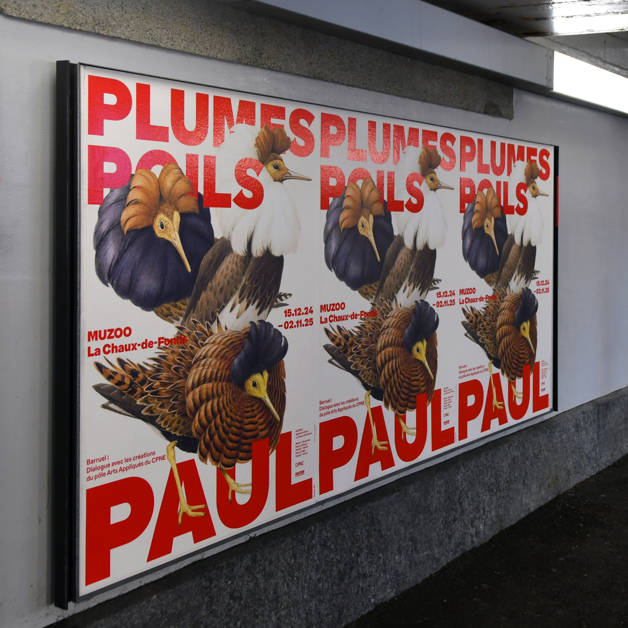 SUPERO_Paul_Barruel_D50_8580_CARRE_low