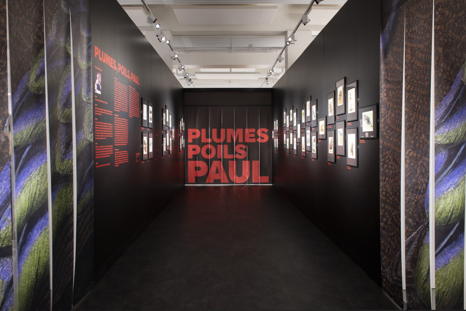 SUPERO_Paul_Barruel__DSC0005_3500px