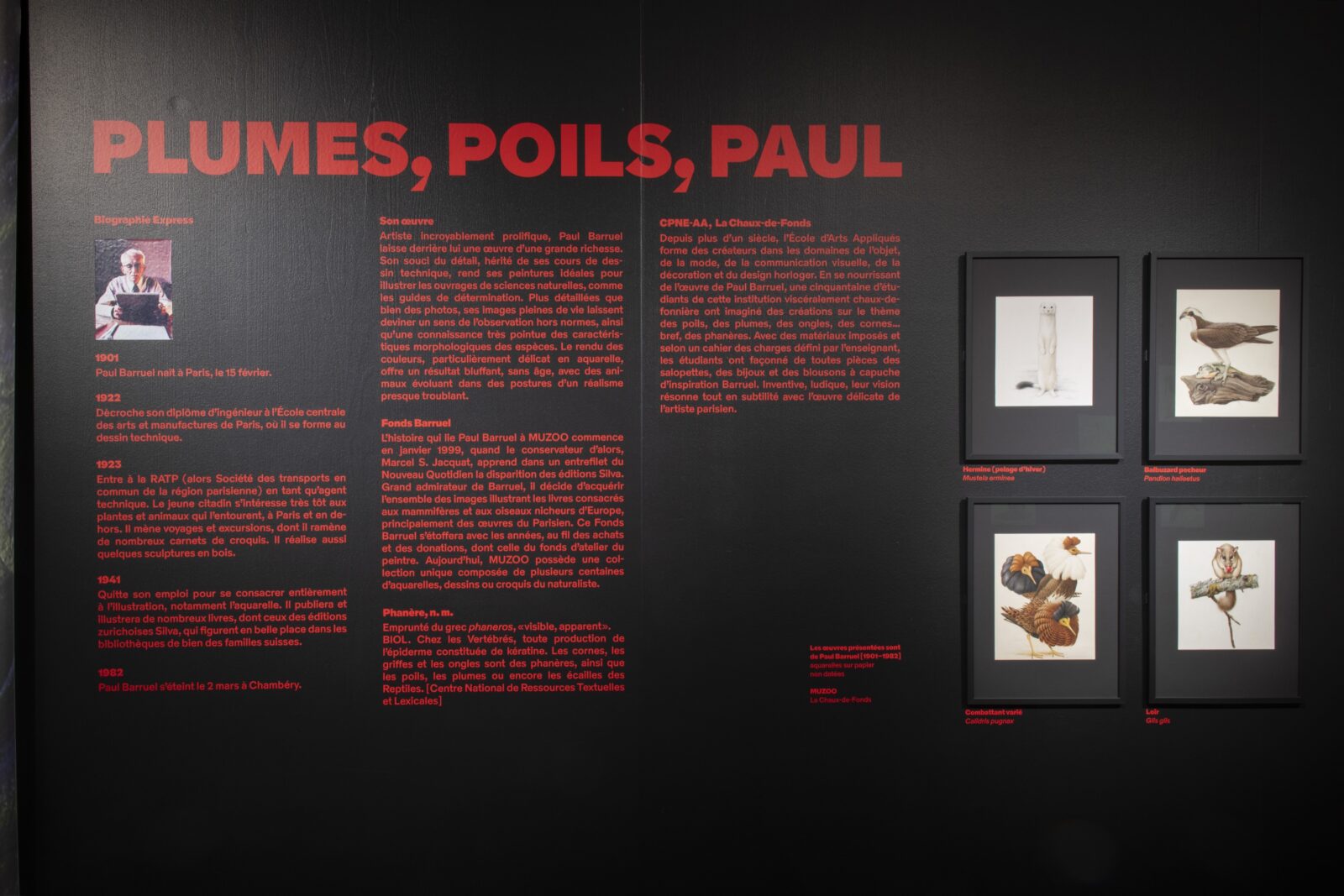 SUPERO_Paul_Barruel__DSC0021_3500px