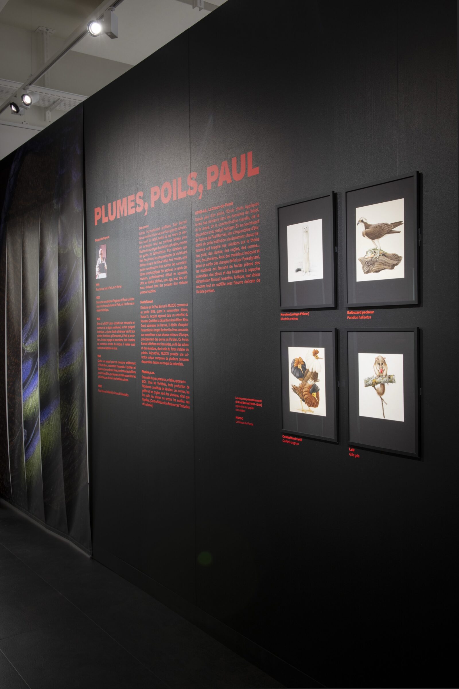 SUPERO_Paul_Barruel__DSC0024_3500px