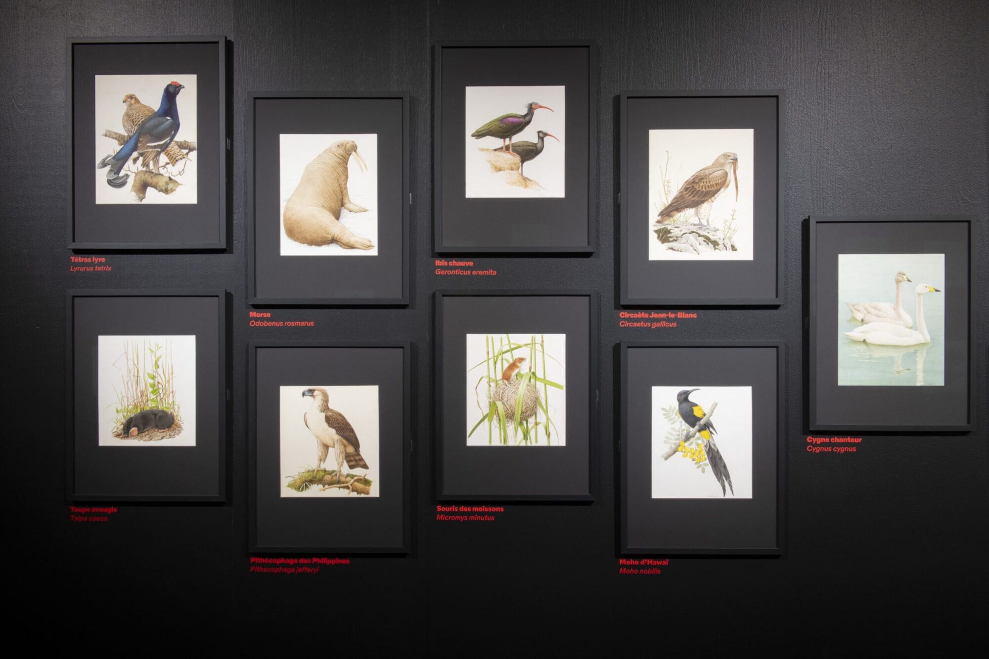 SUPERO_Paul_Barruel__DSC0031_3500px