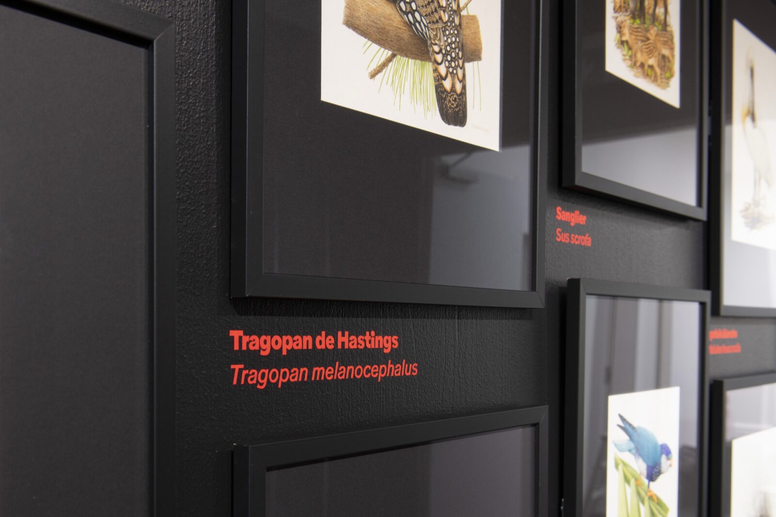 SUPERO_Paul_Barruel__DSC0035_3500px