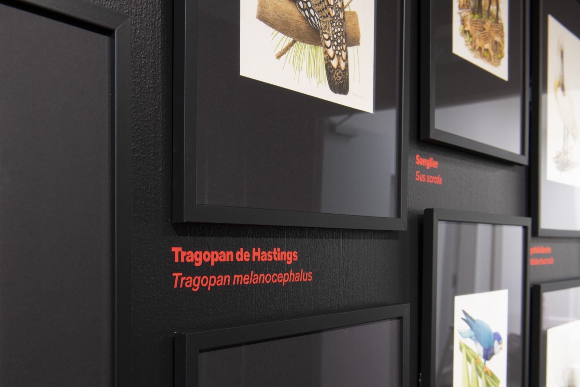 SUPERO_Paul_Barruel__DSC0035_3500px