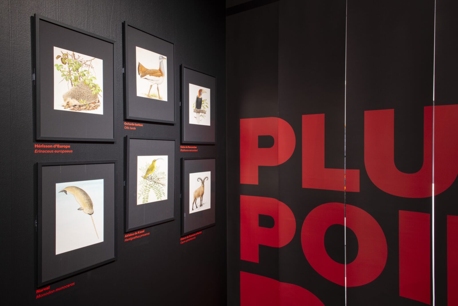 SUPERO_Paul_Barruel__DSC0042_3500px