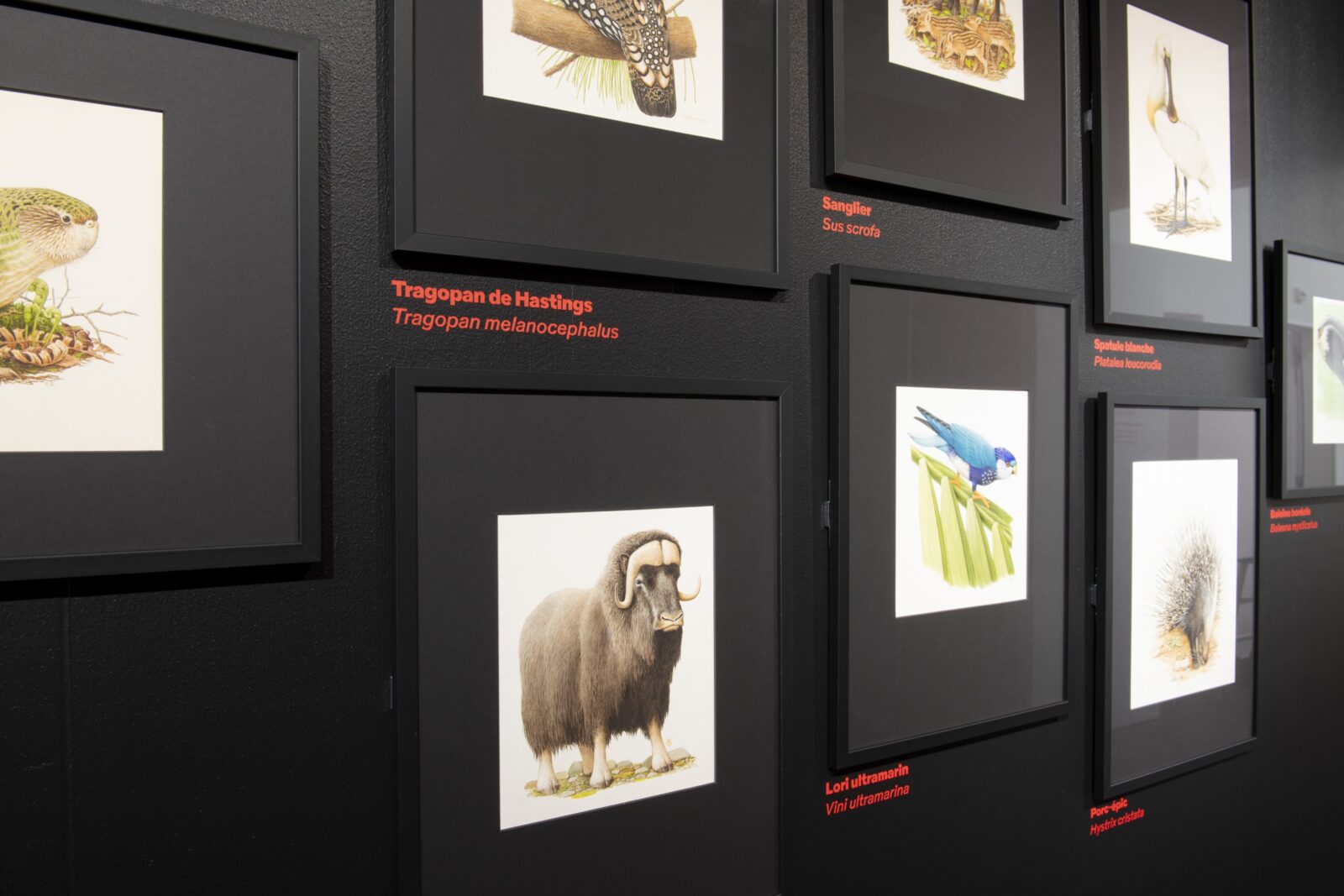 SUPERO_Paul_Barruel__DSC0062_3500px