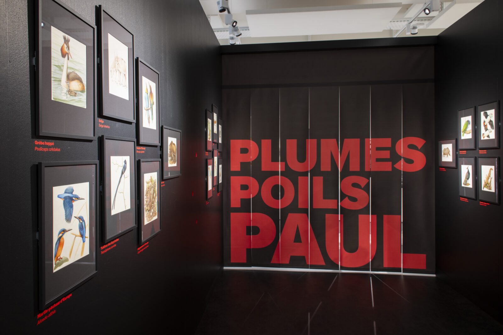 SUPERO_Paul_Barruel__DSC0076_3500px