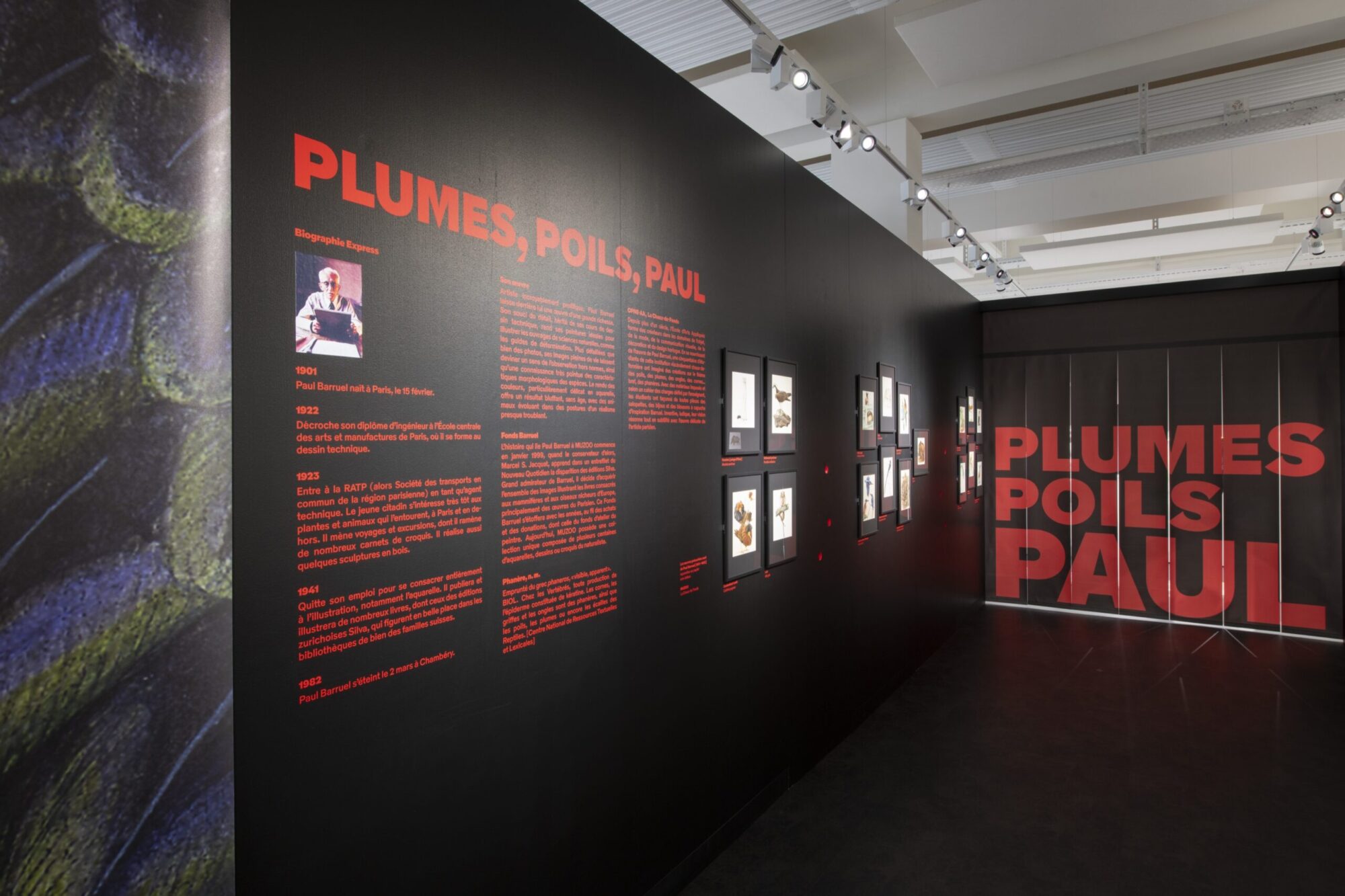 SUPERO_Paul_Barruel__DSC0093_3500px