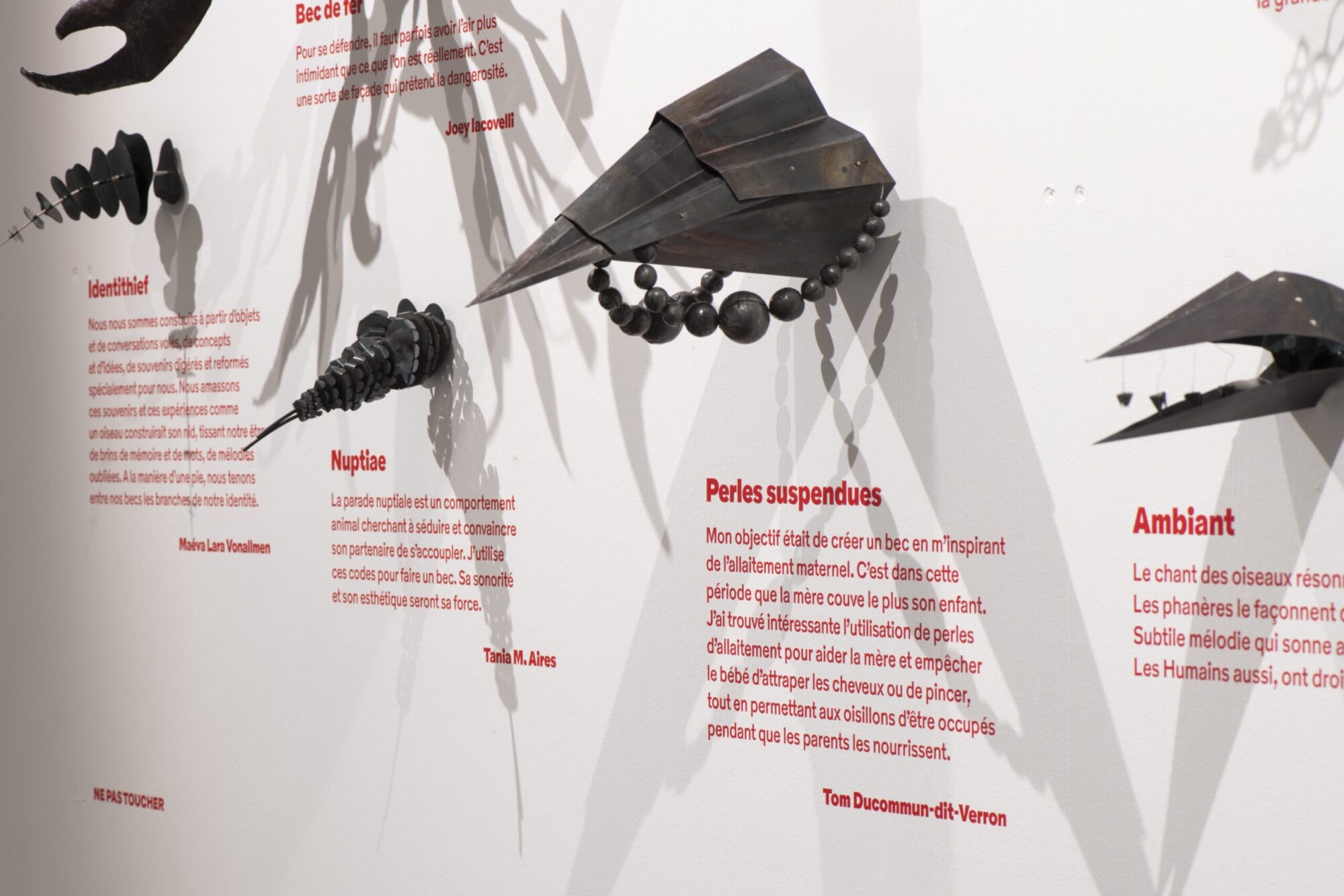 SUPERO_Paul_Barruel__DSC0171_3500px