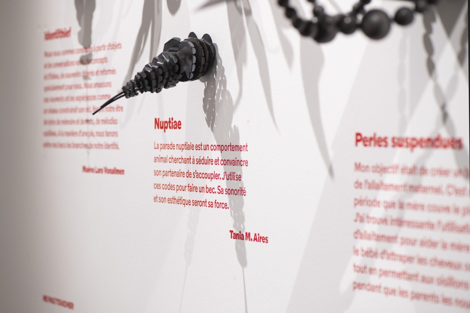 SUPERO_Paul_Barruel__DSC0176_3500px