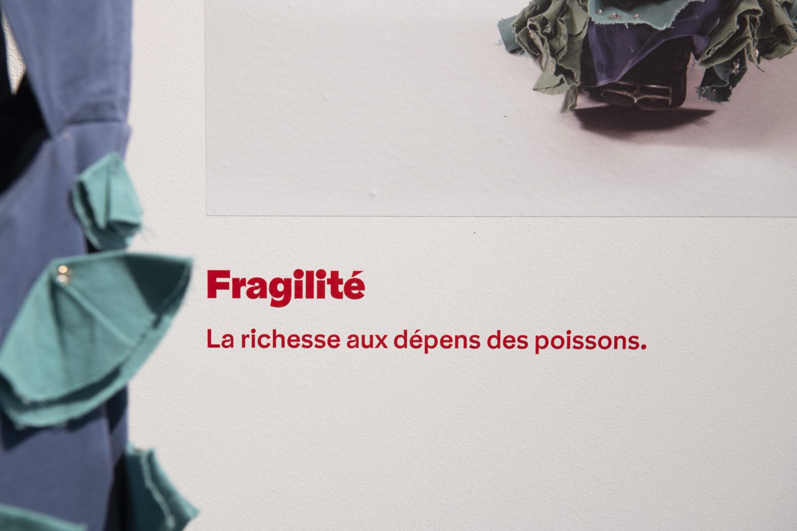 SUPERO_Paul_Barruel__DSC0218_3500px